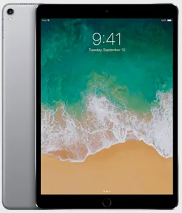 Замена шлейфа на iPad Pro 9.7' (2016) в Краснодаре